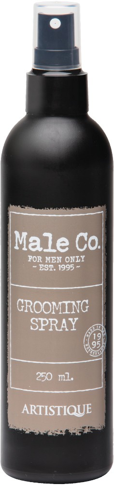 MALE & CO GROOMING SPRAY 250 ML