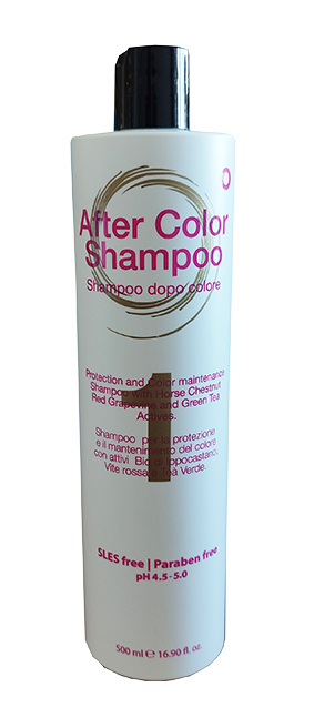 ONOFF SH AFTER COLOR 500 ml